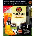 Kit Supporter Paulaner 1